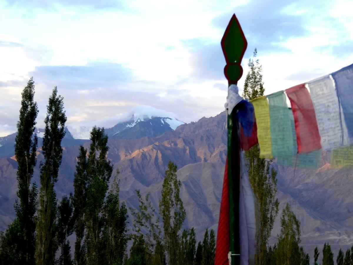 Hotel Holiday Ladakh Léh Exteriér fotografie